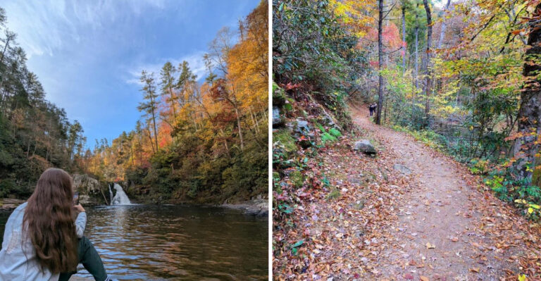 This Creekside Trail In Tennessee Is One Of The State’s Most Tranquil Walks