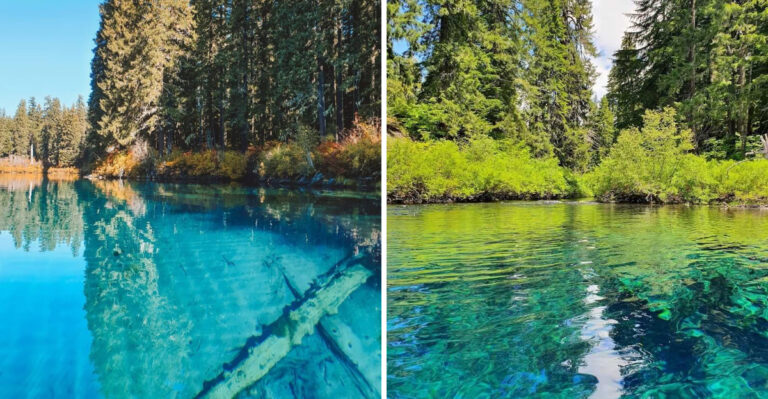 This Crystal-Clear Spring-Fed Oregon Lake Is The Kind Of Place That Changes How You See Nature