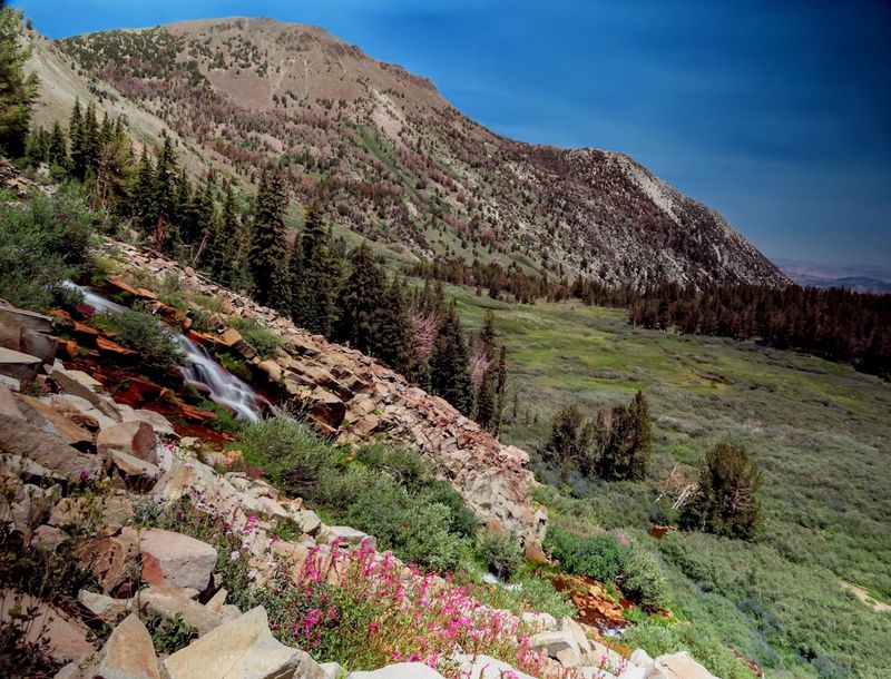 The Adventure Begins Near 9,000 Feet Above Sea Level