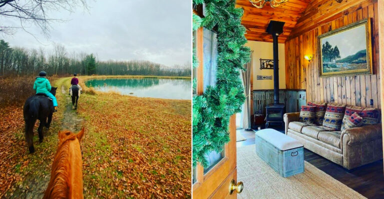 This Hidden New York Farm Lets You Sleep In A Stunning Cabin Next To Beautiful Horses In 2026