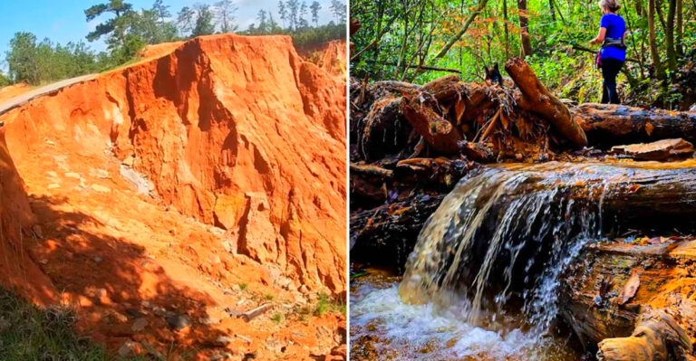 This Little Grand Canyon In Mississippi Is So Beautiful You Won’t Believe It