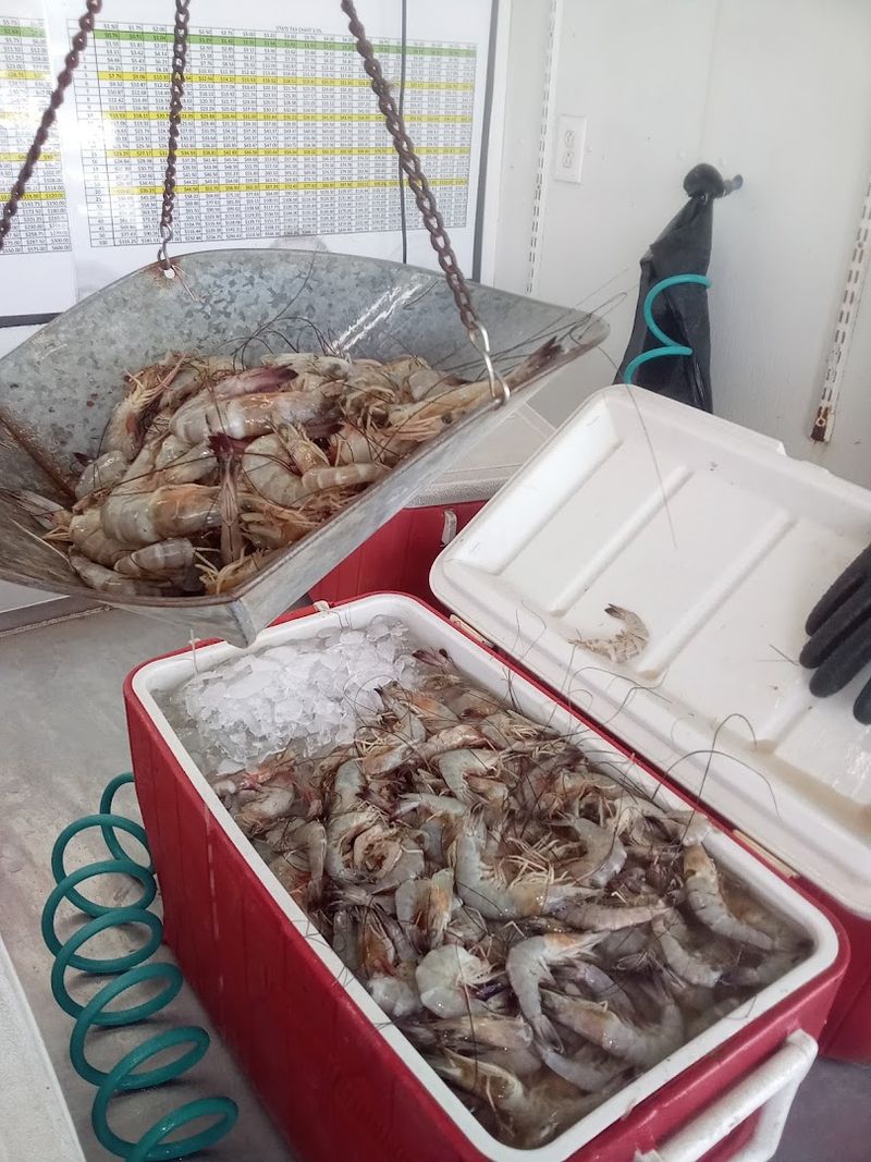 Morning Harvest Techniques That Ensure Freshness