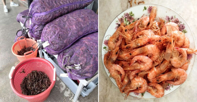 This Local Louisiana Seafood Market Is Known For Exceptionally Fresh Morning Caught Shrimp