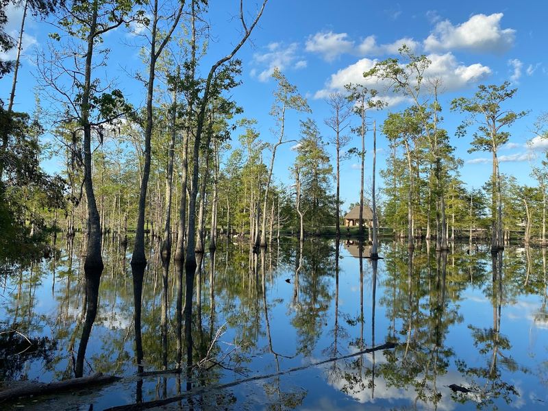 A Park With A Story Worth Knowing