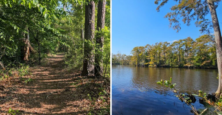 This Louisiana State Park Has Been Quietly Outperforming Bigger Name Parks For Years