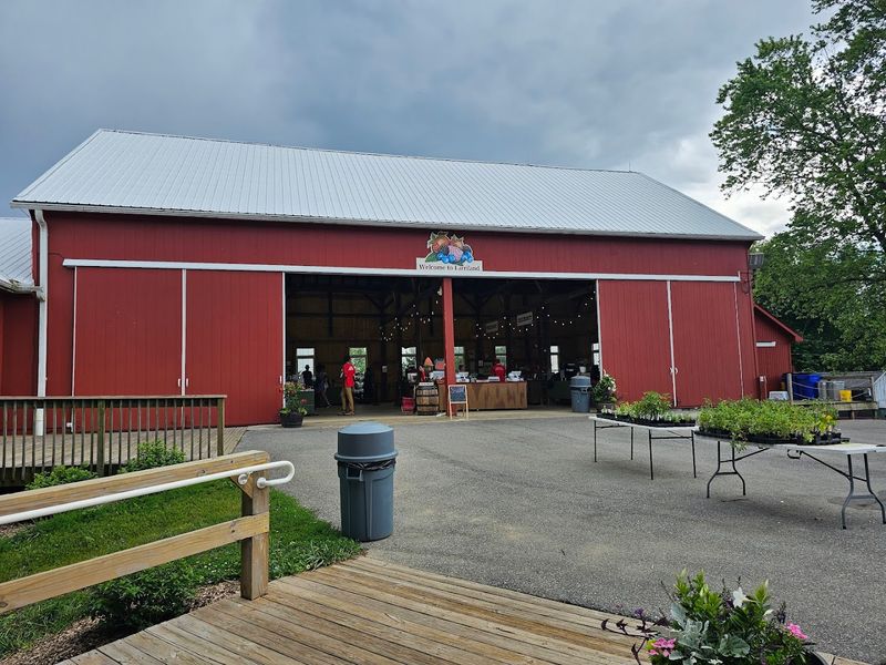 Strawberry Season Timing