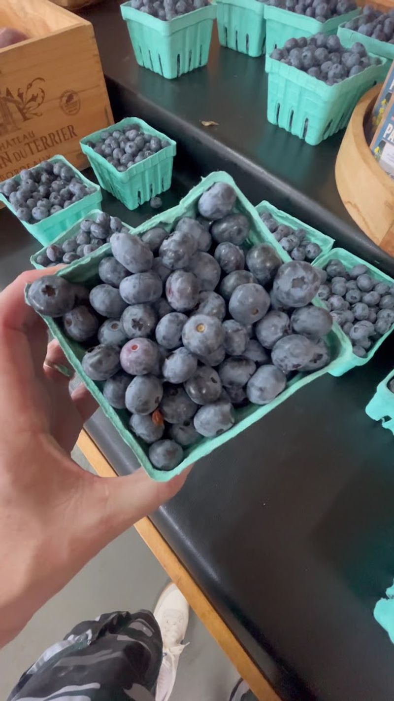 What Blueberry Season Looks Like Here And When To Plan Your Visit