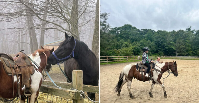 This Massachusetts Horse Ranch Offers The Kind Of Adventure That Changes Your Perspective