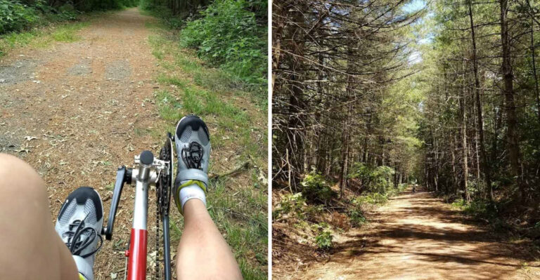 This Massachusetts Rail Trail Could Easily Be The Best Biking And Walking Path You Haven’t Tried Yet