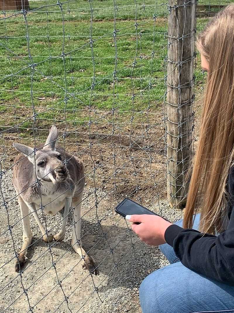 Meet Over 300 Exotic Animals