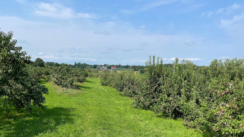 A Farm With Deep Roots In New Hampshire