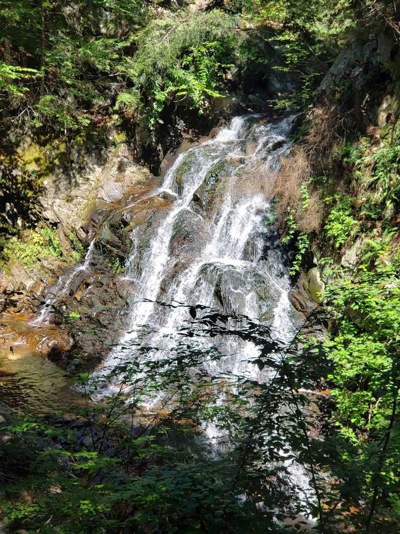 A Trail That Punches Way Above Its Weight