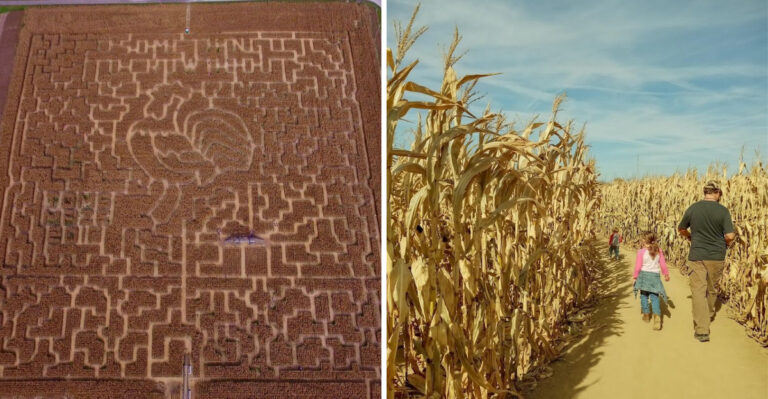 This Ohio Corn Maze Has Been Part Of Fall For So Long Some Visitors Bring Their Own Kids Now
