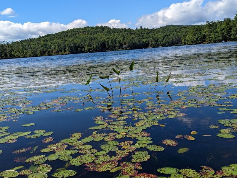 Wildlife Viewing Opportunities Abound