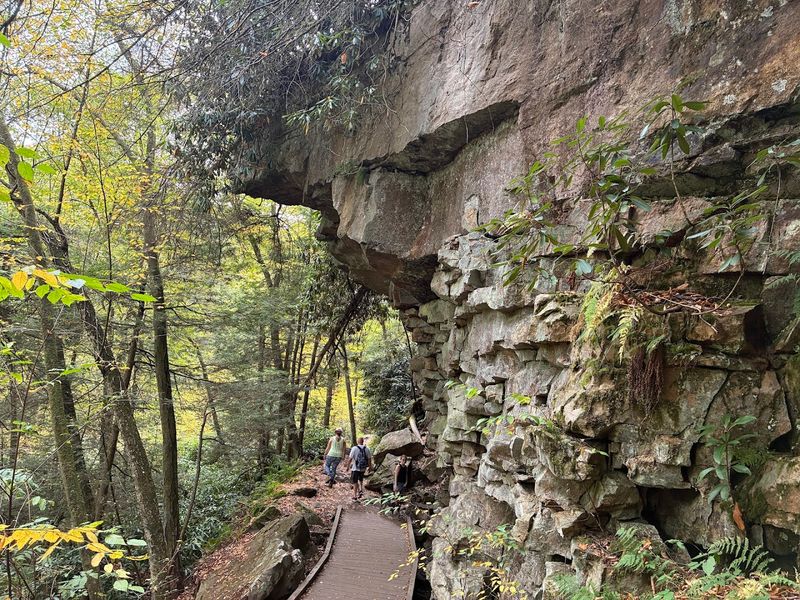 Trail Difficulty And Accessibility Options