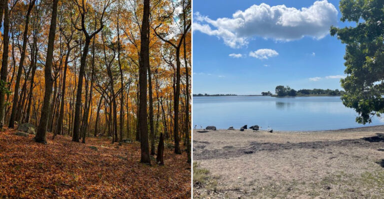 This Scenic Coastal Trail In Connecticut Is One Of The Best Walks That Tourists Rarely Discover