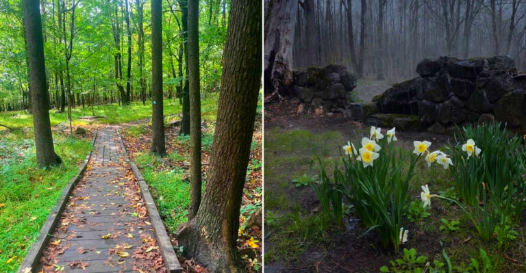 This Short Staten Island New York Hike Leads You Through The Ruins Of A Forgotten Hilltop Estate