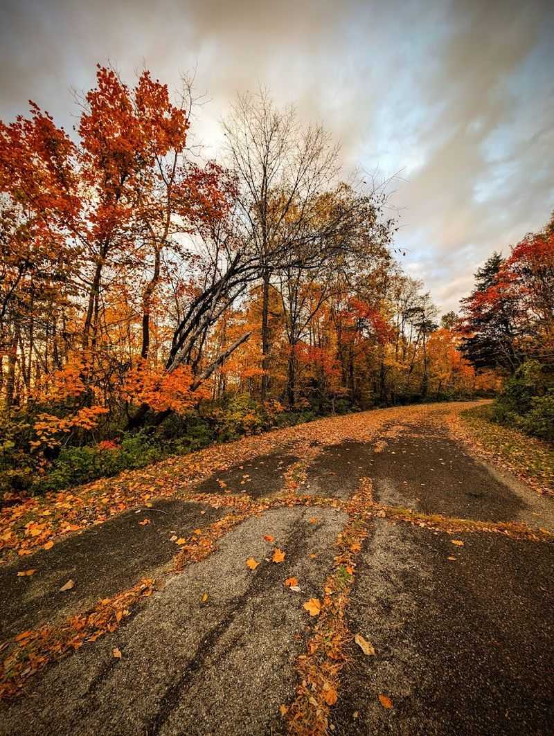 Scenic Views And Nature Trails Near Lake