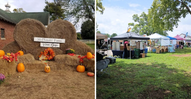 This Tennessee Farm Is The Perfect Place To Slow Down And Reconnect With The Land
