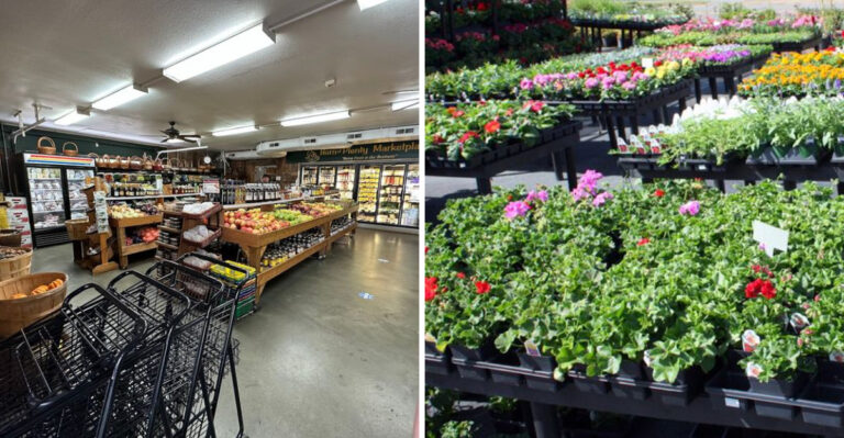 This Tennessee Farm Market Is A Fresh Summer Stop You’ll Definitely Want To Repeat