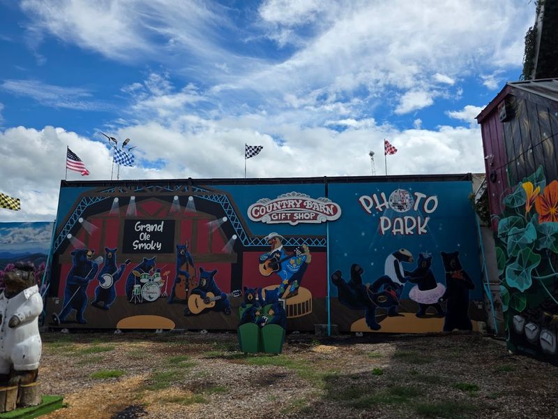 The USA's First Outdoor Selfie Park And Why It Matters