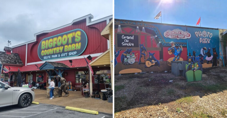 This Tennessee Gift Shop Has The USA’s First Outdoor Selfie Park Out Back