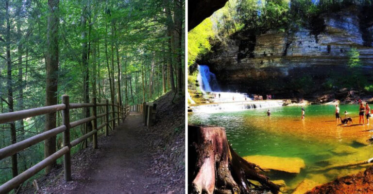 This Tennessee Gorge Hike Takes You To A 75-Foot Waterfall You Can Swim Beneath