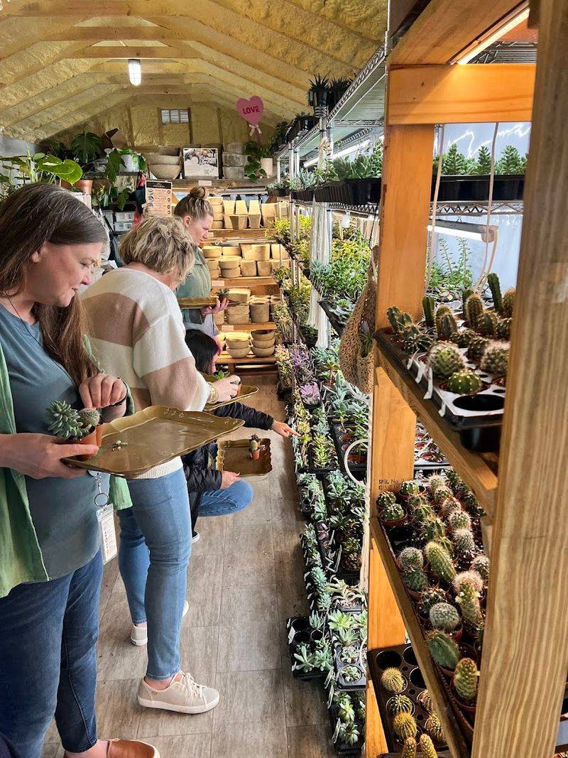 The Succulent Bar That Started It All