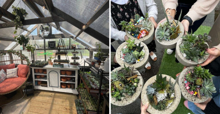 This Tennessee Greenhouse Feels More Like A Fun Day Trip Than A Quick Plant Run