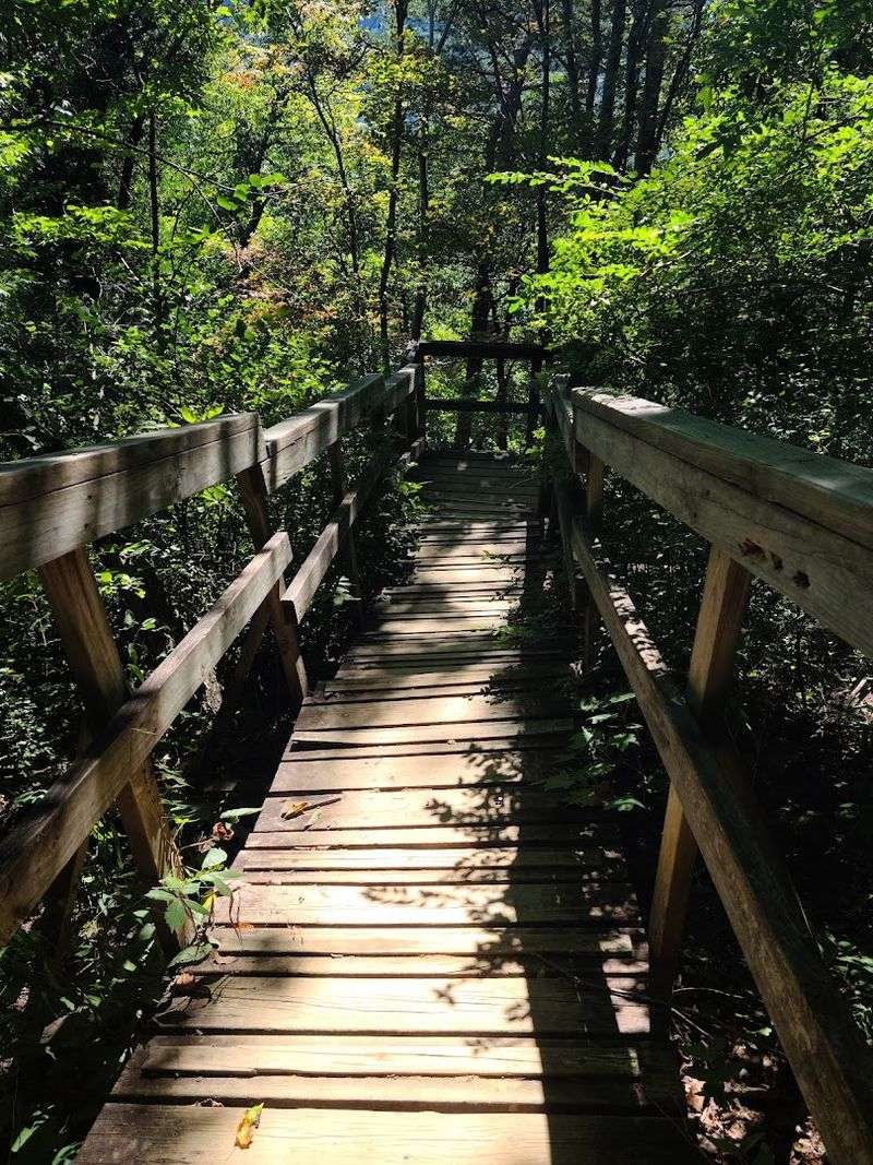 The Trailhead At Signal Point Park And What To Expect Before You Start