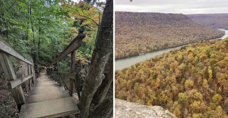 This Tennessee Hike Takes Less Than An Hour And Delivers Views People Come Back For Every Season