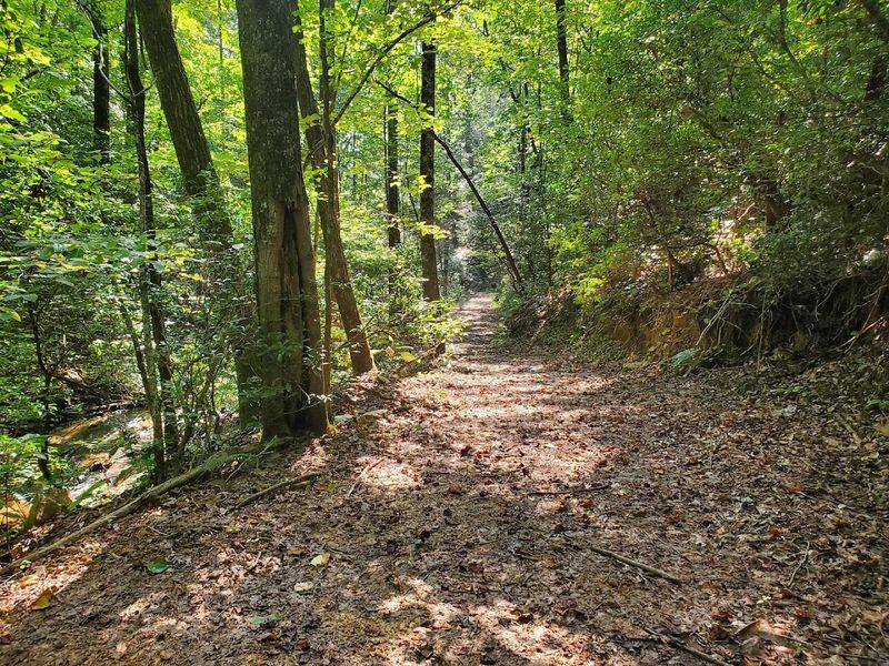 Over 900 Acres Of Private Forest On Whitwell Mountain