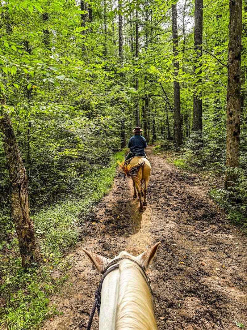The Only National Park-Authorized Stable In The Great Smokies