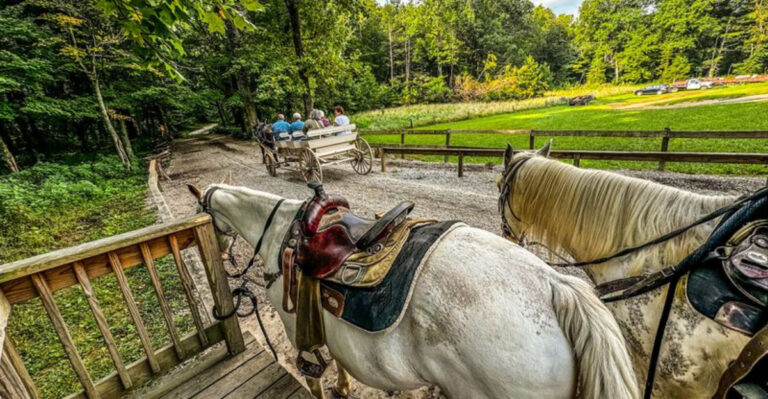 This Tennessee Stable Is One Of The State’s Most Popular Horseback Riding Destinations