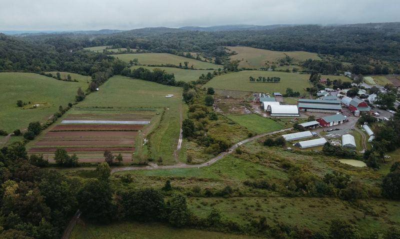 The Farm That Refuses To Be Ordinary