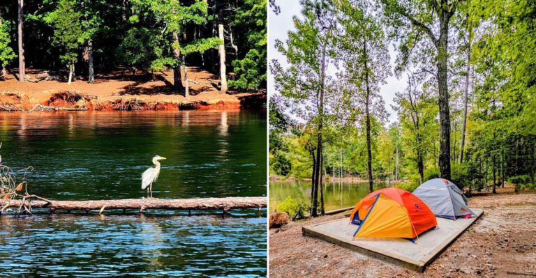 This Underrated South Carolina State Park Is A Scenic Escape Many Residents Have Never Experienced