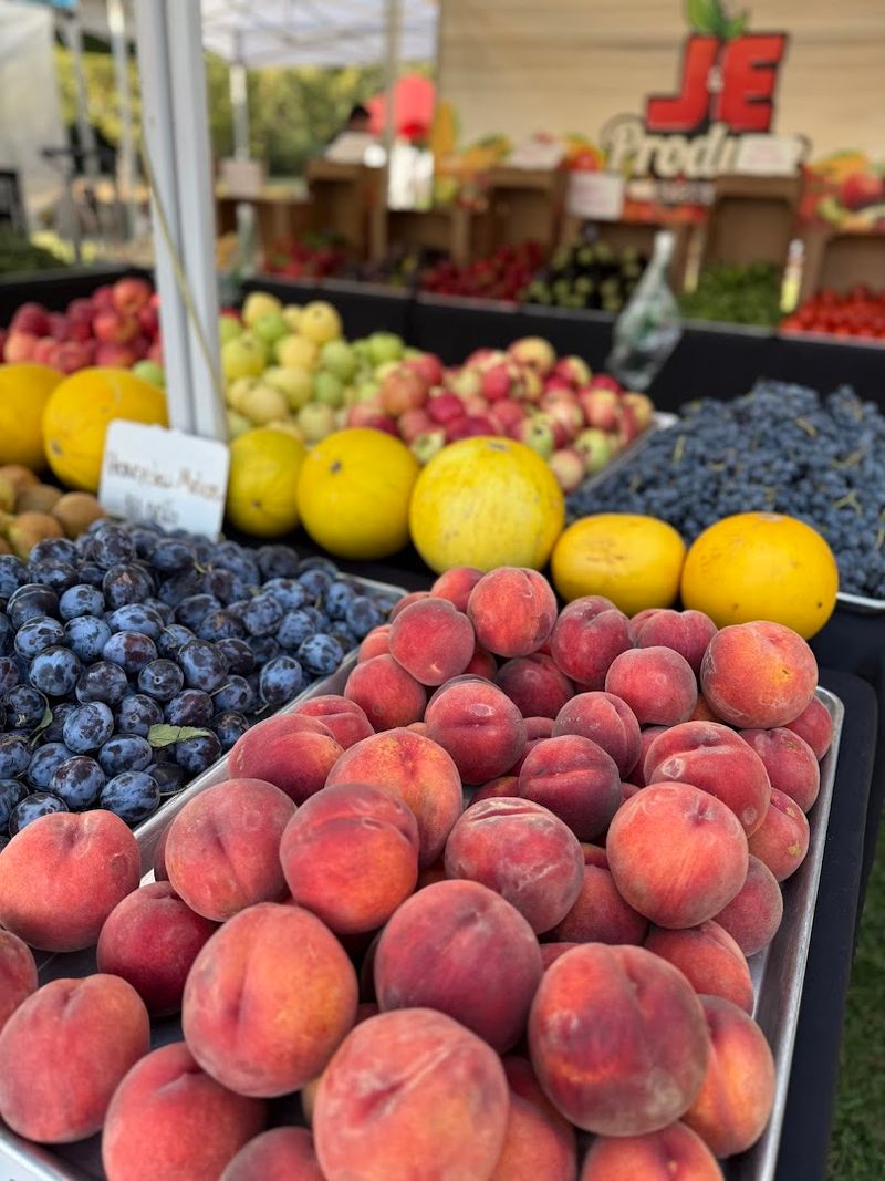 Fresh Produce From Washington Farms