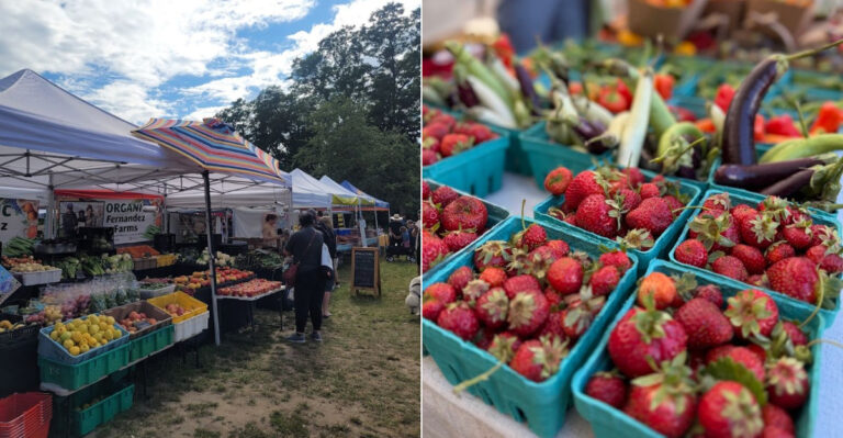 This Washington Park Transforms Into A Lively Farmers Market Every Wednesday From May Through September