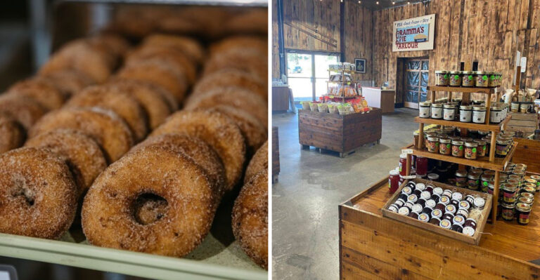 This Wisconsin Apple Orchard Has 30 Varieties Of Apples And The Cider Donuts Are Why People Come Back