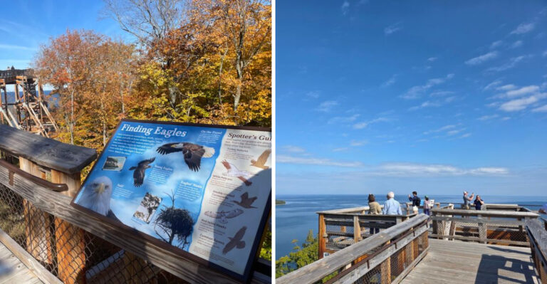 This Wisconsin Park Is A Birdwatching Haven Most People Overlook