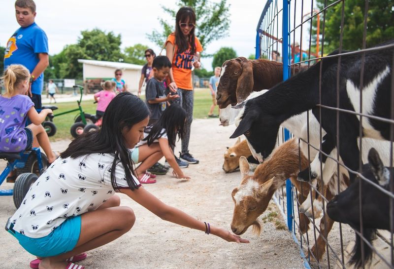 More Than 100 Animals Make This Farm Feel Like A Full Day Out