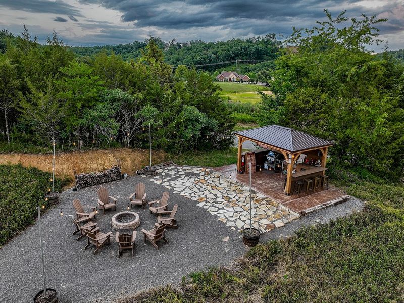 Wildlife Encounters And Natural Surroundings Worth Paying Attention To