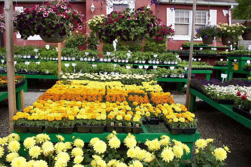 How Weather Conditions Affect Crop Growth And Flavor