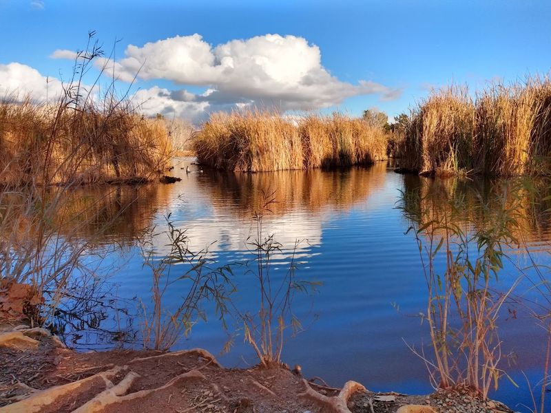 Natural Springs Have Drawn People Here For 11,000 Years