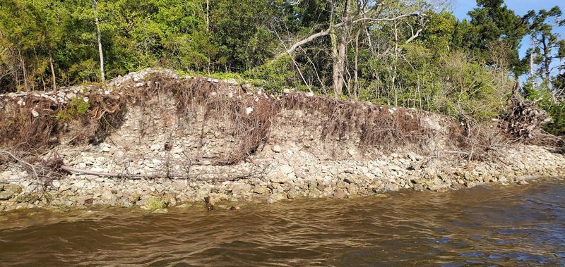 Seasonal Patterns Impacting Fossil And Gemstone Finds