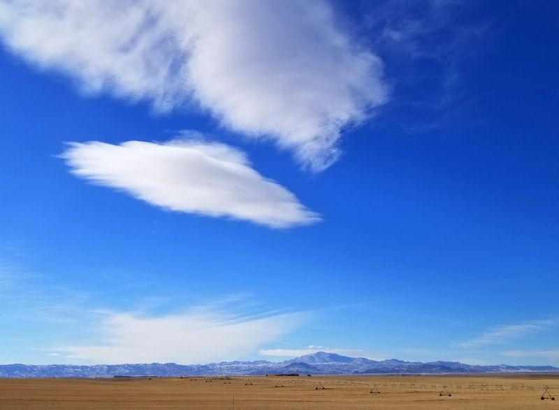 Wheatland