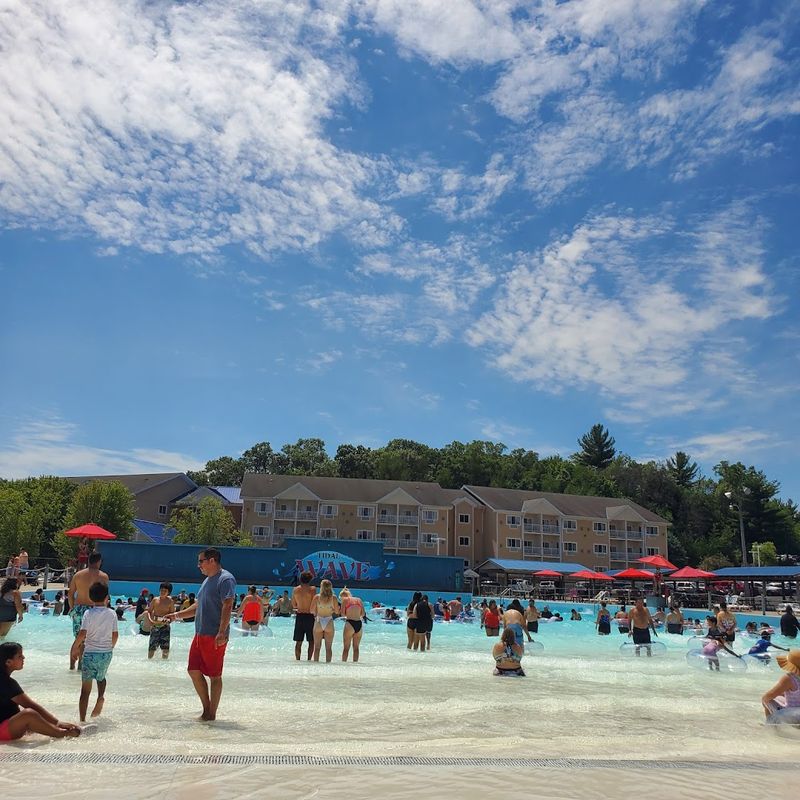 Crowds Make Peak Season Difficult For Residents To Avoid