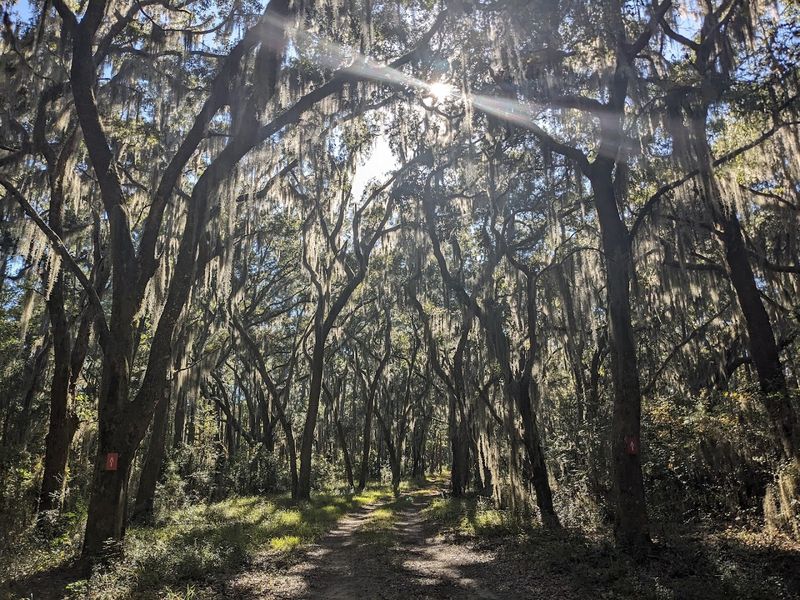 Scenic Walking Trails And Waterfront Views