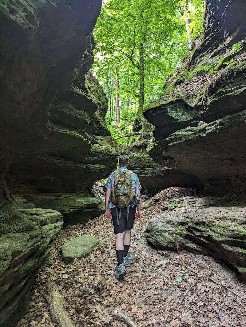 Fern Dell Gorge Trail