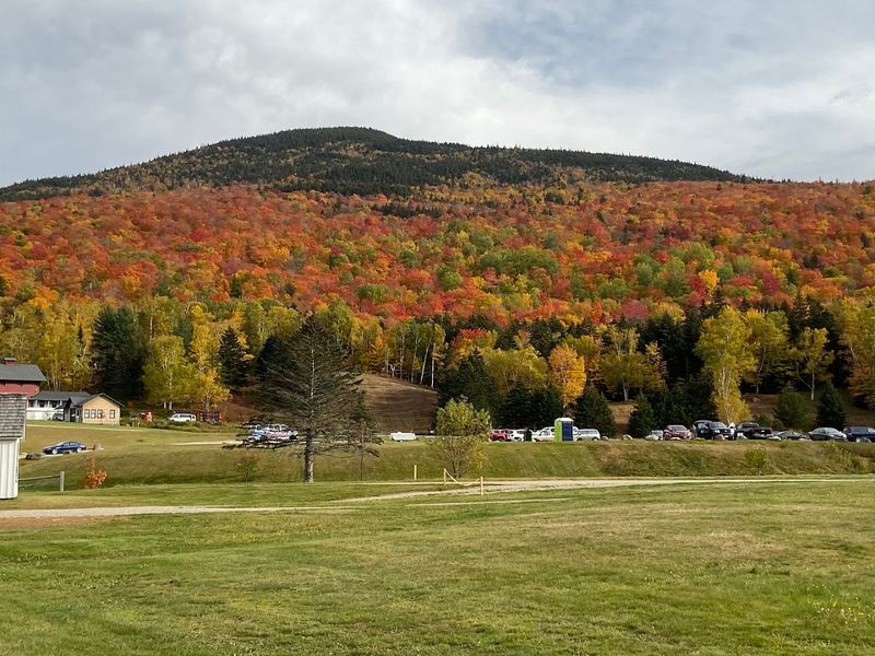 Alander Trail Campground At Mount Washington State Forest, Mount Washington